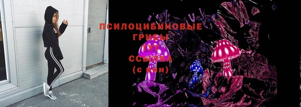 стаф Абаза