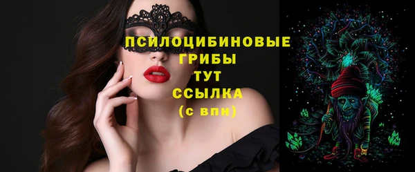 скорость Алзамай